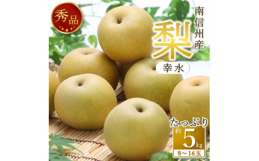 【南信州産】梨「幸水」秀品約5kg（8玉～16玉） 2025年8月下旬より発送 長野県 信州 高森町 産地直送 果物 くだもの なし ナシ 和梨 旬 旬の果物 旬の梨 ギフト 贈答こうすい JAみなみ信州