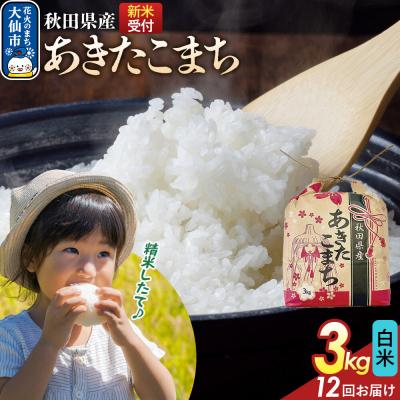 ふるさと納税 大仙市 定期便12ヶ月 あきたこまち白米 3kg 秋田県産 令和8年産|22_kml-010312s