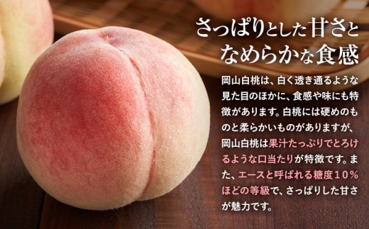 【先行予約】岡山県産 岡山白桃 エース L~ 3Lサイズ シャインマスカット 計 800g 詰合せ 株式会社 はちや《7月上旬-8月下旬頃出荷》もも 岡山 国産 フルーツ 果物 岡山県 浅口市 フルー