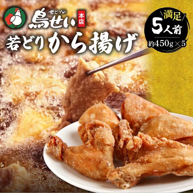 鳥せい本店の若どりから揚げ 満足5人前 【鳥せい本店 若どり から揚げ 5人前 おつまみ 晩ごはん お手軽 鶏肉 手羽 むね肉 もも肉 詰め合わせ 真空パック 冷蔵 職人技 こだわり お取り寄せ 北海道 清水町】_S004-0014-20260623