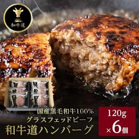 【毎月定期便】和牛道ハンバーグ120g×6食セット 大樹町 黒毛和牛 グラスフェッドビーフ全12回【配送不可地域：離島】【4071617】