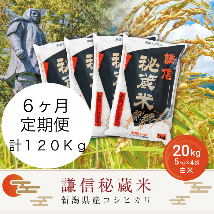 定期便6ヶ月連続発送（20kg×6回分）20kg 米 新潟県産 コシヒカリ  精白米 謙信秘蔵米  お米  こめ コメ おこめ おすすめ こしひかり 新潟 にいがた 新潟米 上越 上越産 上越米 ふるさと納税 定期便 人気