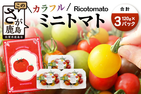 【先行予約】 カラフルミニトマト 【少量パック】 120gx3p　たにぐちファーム カラフルミニトマト 360g とりこになるトマト 野菜 とまと トマト リコピン 佐賀産 佐賀県 鹿島市　A-211