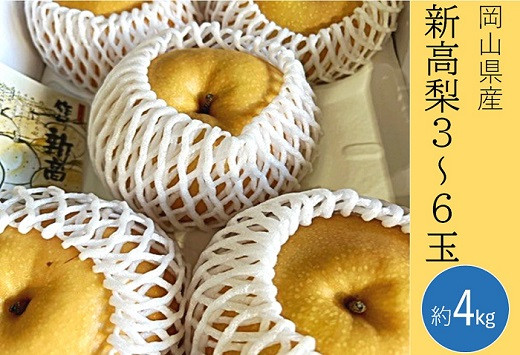 
            新高梨 3～6玉（約4kg）化粧箱入り【2026年9月下旬～11月上旬発送予定】
          
