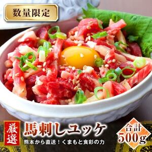 【馬刺し】熊本直送　ユッケ500g(50g×10個)　(益城町)【配送不可地域：離島】【1553631】