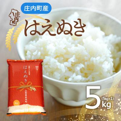 ふるさと納税 庄内町 庄内町産 はえぬき 5kg 令和7年産 2025年産 ブランド米