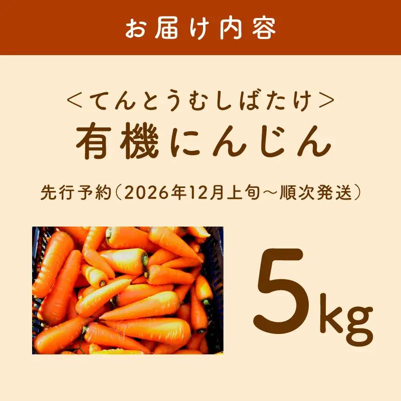 【先行予約（2026年12月上旬～順次発送）】有機にんじん5kg｜にんじんジュースにも