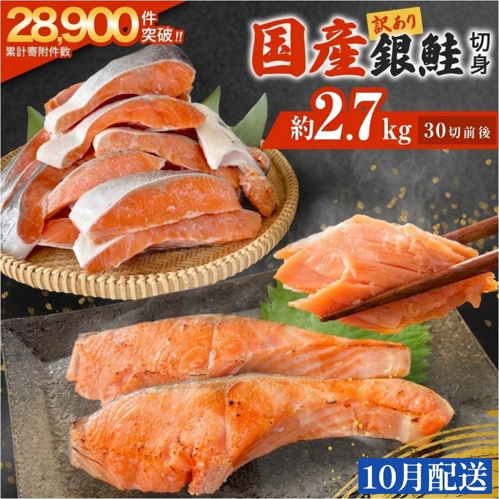 【10月配送】 訳あり 国産 銀鮭 どっさり 2.7kg 定塩 切身｜ 冷凍 鮭 サーモン 不揃い ご家庭用 塩鮭 しゃけ シャケ 焼き魚 宮城県 石巻市 魚介類 魚 海産物