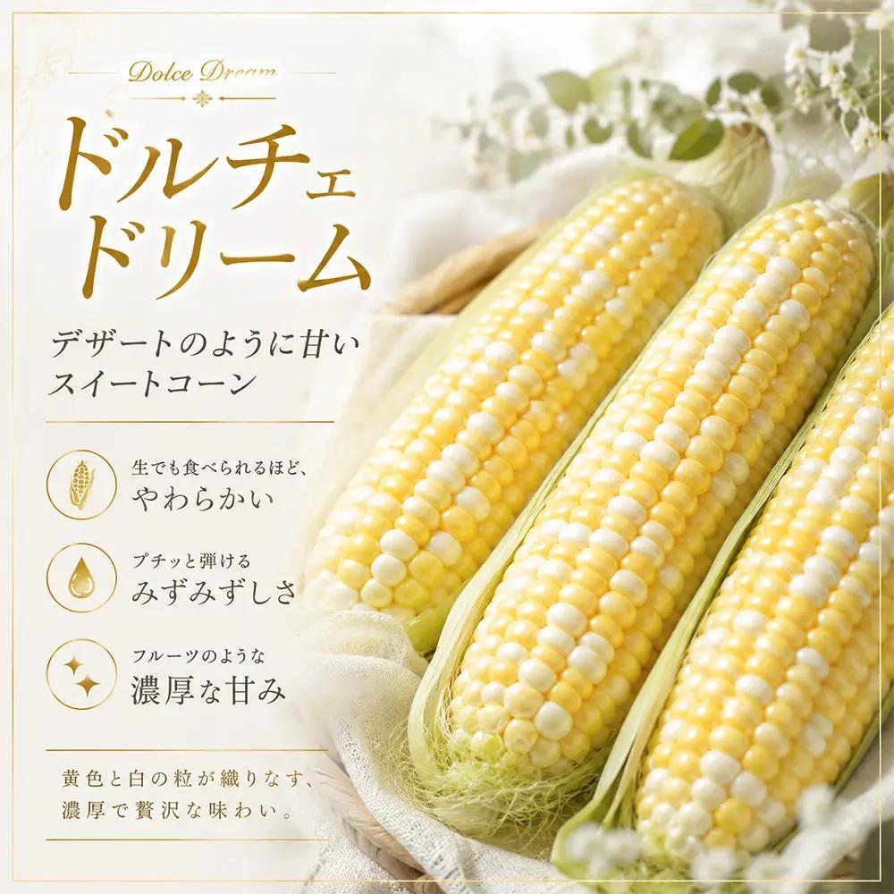 野菜定期便 3回便【令和9年産先行予約】本山農場の野菜定期便（小）野菜 セット