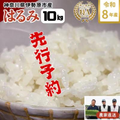 ふるさと納税 伊勢原市 【先行予約】[令和8年産] 伊勢原産 精米 10kg はるみ 農家直送!亀井さんちのうんめぇ米