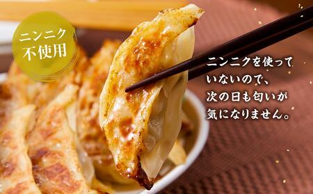 【食感と昆布だしにこだわり】 【3回定期便】お酒によく合う味噌餃子40個(10個×4箱)【 餃子 加工品 冷凍 おつまみ つまみ 定期便 食品 グルメ お取り寄せ お取り寄せグルメ 八雲町 北海道 】