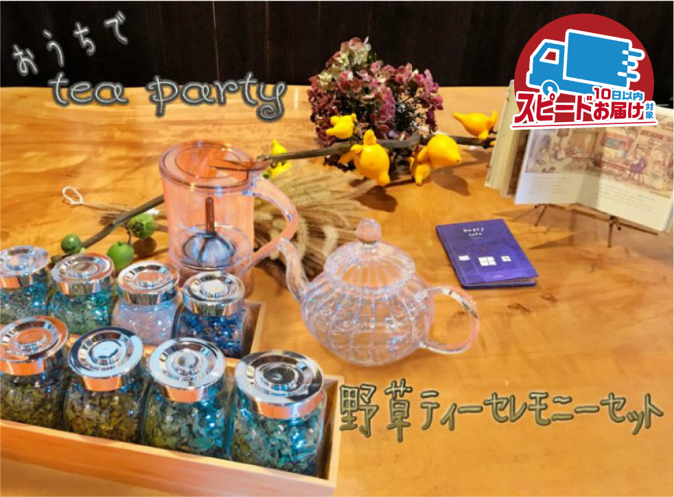 
                  おうちで飛騨の野草ティーセレモニーセット 野草茶 スギナ ドクダミ 野ブドウの蔓 クロモジ イノコズチ 桑の葉 葛の花 メナモミ お茶
                