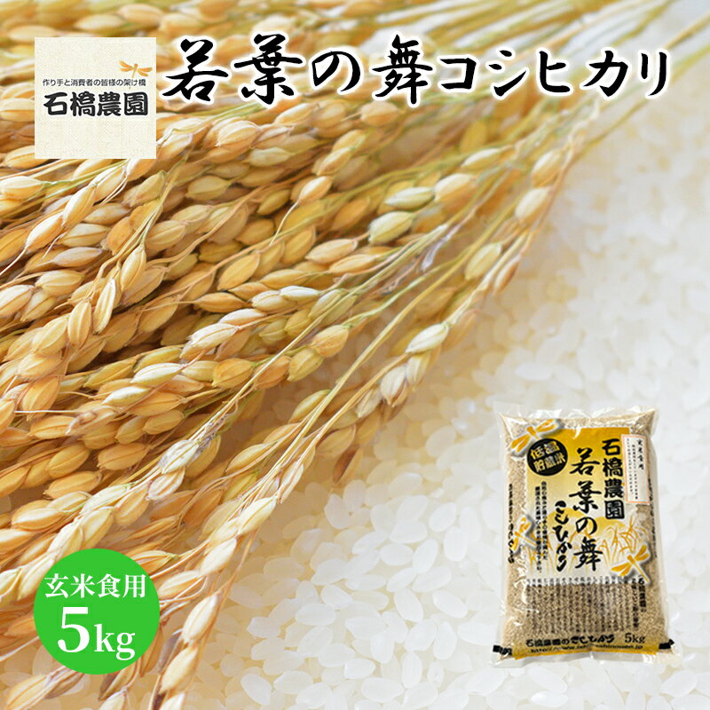 【ふるさと納税】米 若葉の舞 コシヒカリ 玄米食用5kg こしひかり お米 玄米 千葉 千葉県 低温保存