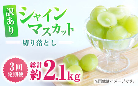 【先行予約】【3回定期便】 訳あり シャインマスカット 切り落とし 約700g  【合同会社 社方園】[ZBZ046]