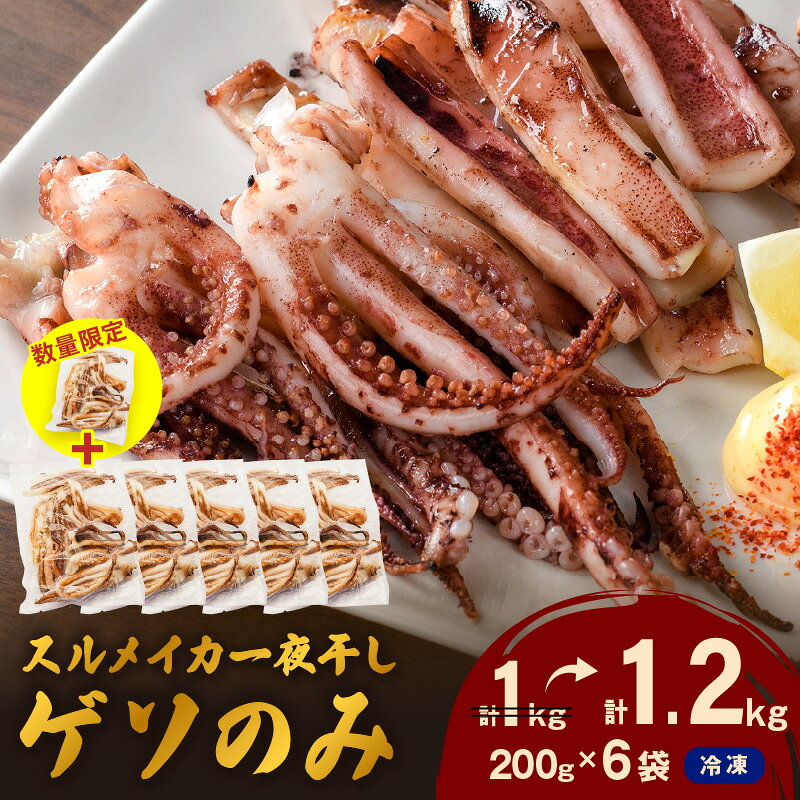 【ふるさと納税】【生活応援品】【訳あり】スルメイカ一夜干し”ゲソのみ” 計1,000g（小分け200gx5袋）＋200g(1袋)付き [1月4日まで]【005_2079】【レビューCP対象】ふるさと納税 干物 イカゲソ 国産 人気 大容量 小分け 訳あり 塩味付 いか おつまみ 一夜干し