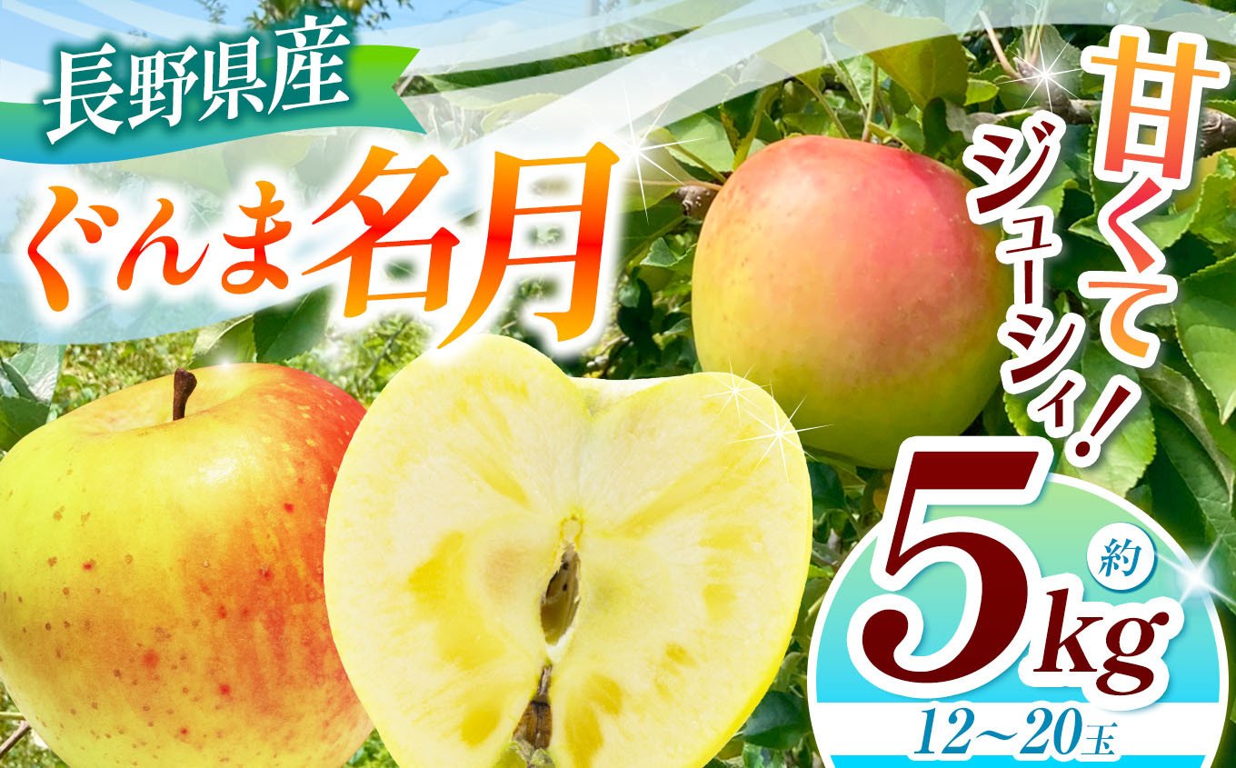 
            ぐんま名月 約5kg 【2026年先行予約】 ｜ 浅野農園 リンゴ りんご 林檎 果物 くだもの フルーツ 果実 果汁 ぐんま名月 長野県 松川村 信州 北アルプス
          