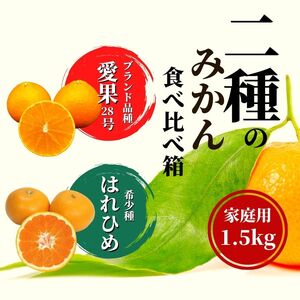 【2026年12月頃から順次発送】二種のみかん食べ比べ箱 【愛果 28 号・はれひめ】 約 1.5kg 家庭用 みかん 蜜柑 柑橘 果物 くだもの フルーツ お取り寄せ グルメ 期間限定 数量限定 人気 おすすめ 愛媛県 松山市 【PT041】