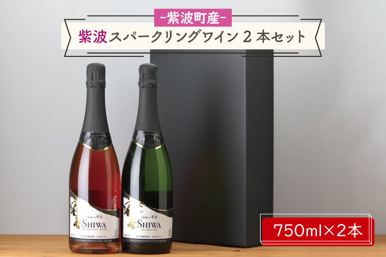 
                  紫波スパークリングワイン２本セット（白・ロゼ）(AL065-1)
                
