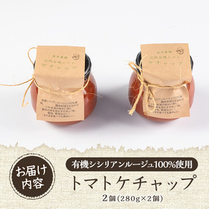 《数量限定》トマトケチャップ(280g×2個)  鹿児島県 有機野菜 完熟 とまと 【雲月農園】_y380