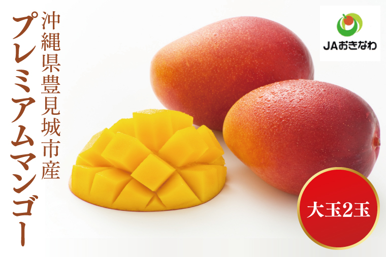 【2025年6月下旬より順次発送】糖度15度保障！プレミアムマンゴー 大玉2玉(化粧箱)｜沖縄県 豊見城市 マンゴー プレミアムマンゴー プレミアム フルーツ 果物 くだもの おきなわマンゴー ギフト 贈り物 化粧箱入り 先行予約(AE020)