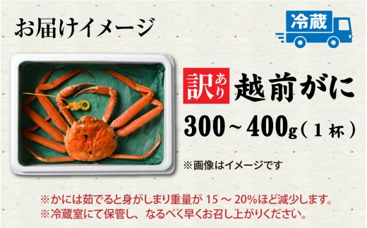 【先行予約】【訳あり】朝茹で越前がに 300g?400g（足折れ）11月～1月発送「11月中旬より順次発送」[C-065001]  / 福井県 福井 オス 雄 ズワイガニ ボイル 冷蔵 越前ガニ 越前がに 越前カニ ずわいがに ずわい蟹 かに カニ 蟹 茹で すがた 姿 わけあり 訳アリ