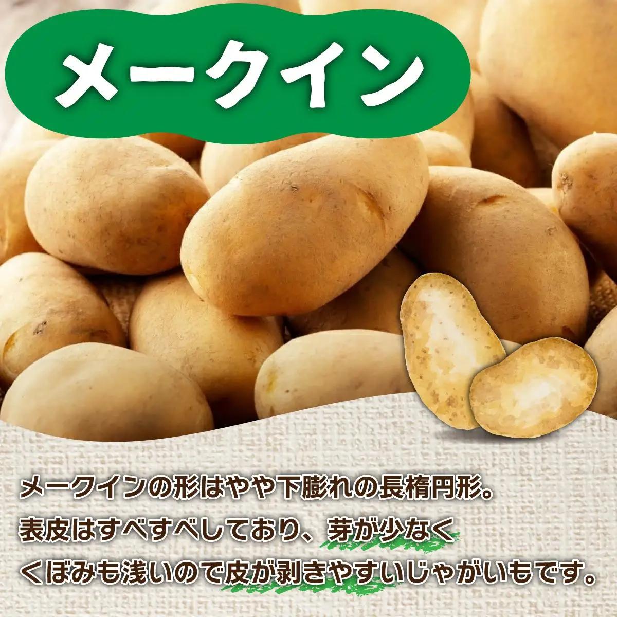 ＜先行予約＞北海道産 じゃがいも(メークイン) 約10kg【hjf-005】