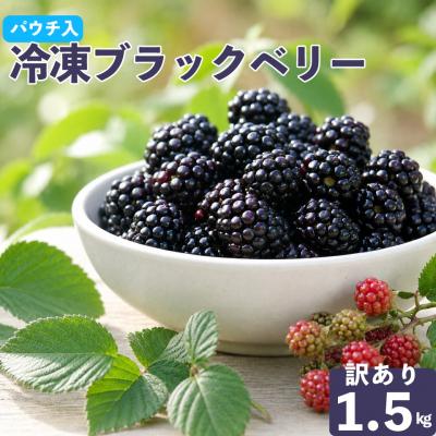 ふるさと納税 佐川町 <【加工用・訳あり】冷凍ブラックベリー約1.5kg>家庭用 国産 MIYAMOTOFARM