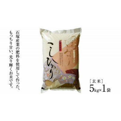 【ふるさと納税】かすみがうら市産コシヒカリ 玄米 5kg【1630960】
