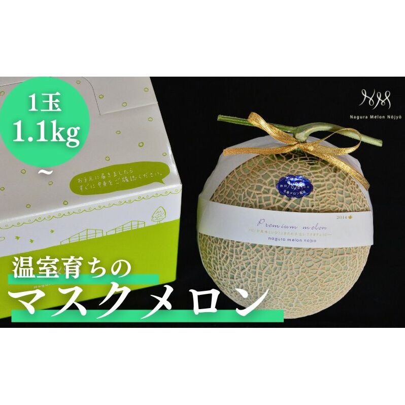【先行予約】温室育ちのマスクメロン 良品 1玉 人気 厳選 ギフト 贈り物 デザート グルメ フルーツ 果物 袋井市 果物類 青肉 糖度15度