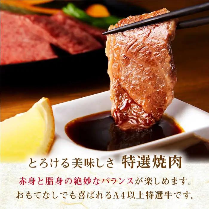 【全6回定期便】長崎和牛 出島ばらいろ 特選焼肉 セット （ロース カルビ カタロース モモ のいずれか2種類）約300g×2 【合同会社肉のマルシン】[QBN053]