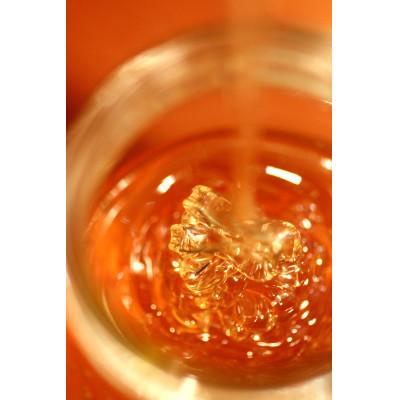 ふるさと納税 茨城県 茨城県産 国産 天然生はちみつ 田舎はちみつ 120g×7種類セット 結蜜-Musubi R7 |  | 02