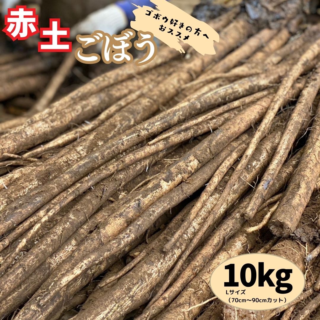 【ふるさと納税】 ゴボウが好きな方へ「赤土ごぼう」10kg／Lサイズ（70cm〜90cmカット）