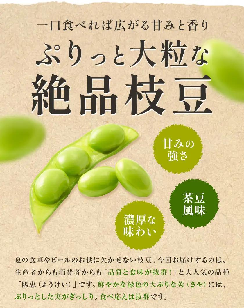 枝豆 えだまめ「陽恵」（茶豆味）4.5kg【配送不可地域あり】(離島)枝豆