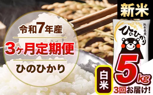 【3ヶ月定期便】新米 令和7年産  定期便 ひのひかり 5kg 《11月から出荷開始》令和7年産 熊本県産 ふるさと納税 白米 精米 ひの 米 こめ ふるさとのうぜい ヒノヒカリ コメ 熊本米