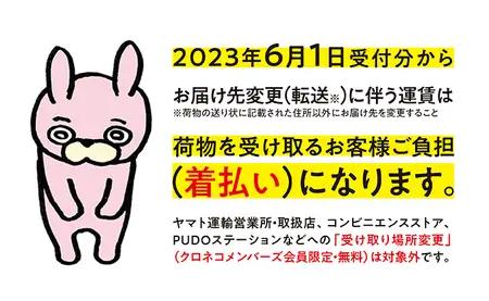 りんご 【 ご家庭用 訳あり 】 ふじりんご 10kg 【11月中旬～12月中旬発送】サンふじ ふじ リンゴ 林檎 山形県  朝日町産 山形県産 特産 果物 フルーツ リンゴ 林檎 秋 冬 送料無料 