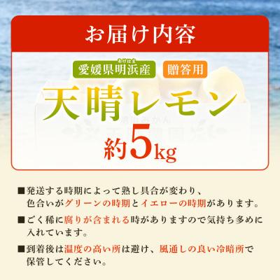 ふるさと納税 西予市 【先行受付】天晴レモン　贈答用　約5kg　れもん　愛媛　果物 |  | 02