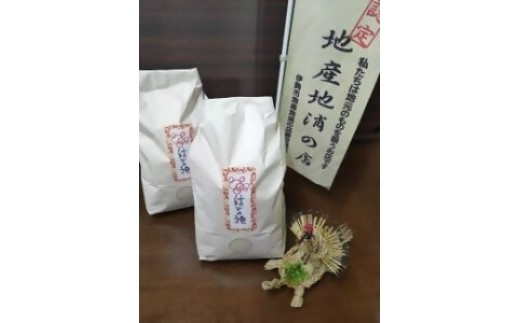 1873 玄米 令和7年産結びの神 玄米5キロ 数量限定 ご飯 お米 コメ 5キロ 伊勢市 伊勢市産 伊勢志摩 三重県 米粒が大きい つや べたつき少ない もちもち ふっくら 大西農園