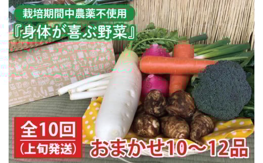 【発送月固定定期便】栽培期間中農薬不使用『身体が喜ぶ野菜』おまかせ10～12品（上旬発送）全10回 【新鮮 やさい ベジタブル 安心 安全 おいしい ランダム】（KBE-60A）