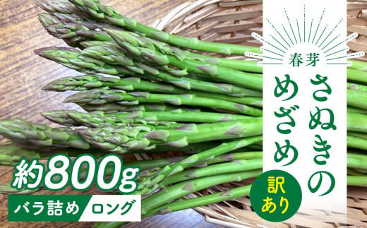 【2月中旬頃～発送】訳あり 規格外 さぬきのめざめ ロング 約800g 春芽