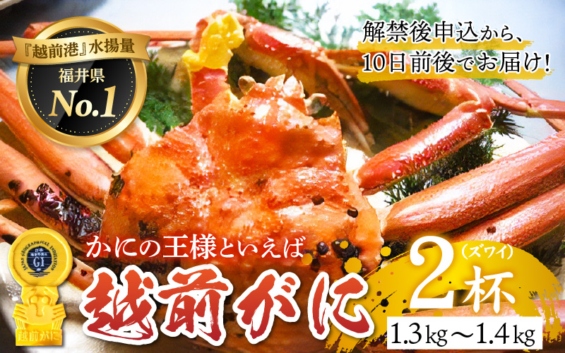 【産地直送】先行予約！福井の冬の王様！越前がに 1.3〜1.4kg × 2杯　2024年11月15日以降発送