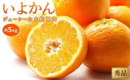 【2027年1月中旬頃から順次発送】いよかん＜秀品＞約5kg （ 愛媛産 愛媛県産 国産 愛媛みかん 愛媛蜜柑 愛媛ミカン みかん ミカン mikan 蜜柑 柑橘 フルーツ 果物 くだもの お取り寄せ 産地直送 数量限定 人気 おすすめ 愛媛県 松山市 送料無料 ）【KK0591】