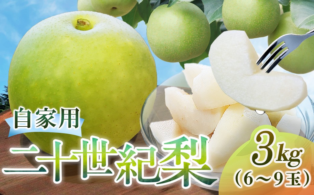 
                  二十世紀梨【自家用】3kg（三ツ田農園） 鳥取 梨 果物 フルーツ 和梨 二十世紀梨 20世紀梨 人気 甘い 家庭用
                