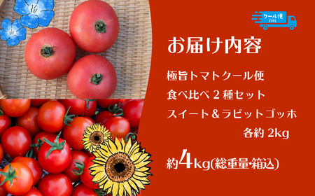 【2026年予約】極旨トマトクール便 食べ比べ2種セット 北海道壮瞥町産 スイート＆ラビットゴッホ 4kg 中玉トマト SBTAJ030