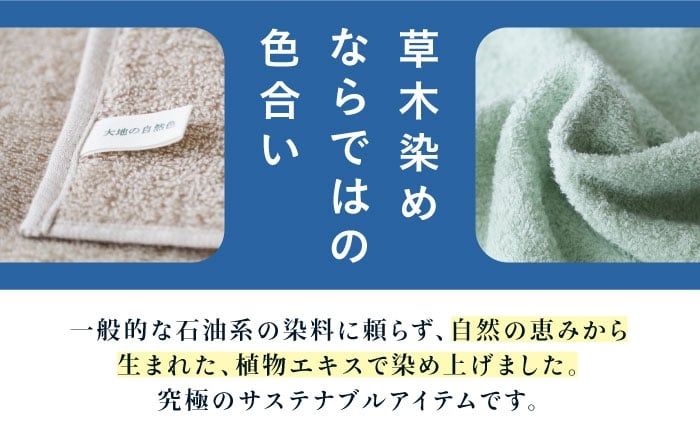 タオル フェイスタオル 日用品  ボタニカルダイ サステナブル オーガニック フェイスタオル 2枚セット ギフト 草木染