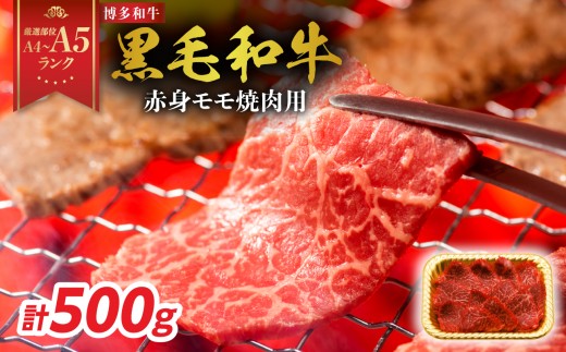 
                  【厳選部位 A4～A5】博多和牛赤身モモ焼肉用 500g 牛肉 牛肉 500g 牛肉 焼肉 牛肉 焼肉 赤身 焼肉 博多和牛 博多和牛 焼肉 博多和牛 焼肉 赤身 モモ A4 A5 厳選部位 化粧箱 福岡県 八女市
                
