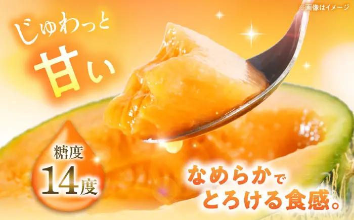 【先行予約】キングルビー 4-5玉  [AJAM005] メロン 産地直送
