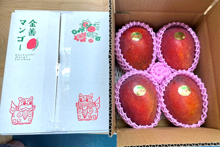 【2024年発送】かねよしマンゴーの甘くとろけるマンゴー1.5kg（贈答用）