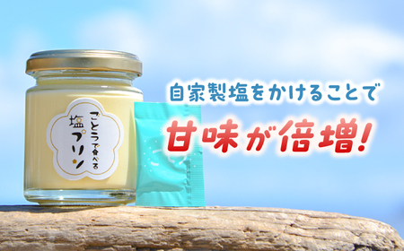 【全3回定期便】【ヒルナンデスで紹介されました！】ごとうで食べる 塩プリン 6個 椿スプーン付き【虎屋】[RBA048]