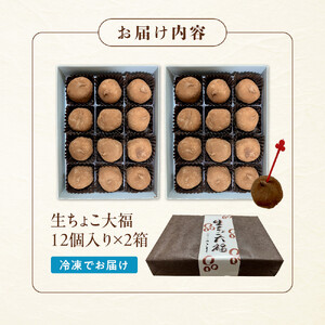 生ちょこ大福 12個入×2箱【ささもり 菓子 おかし 食品  贈り物 宮城県 人気 おすすめ 送料無料】