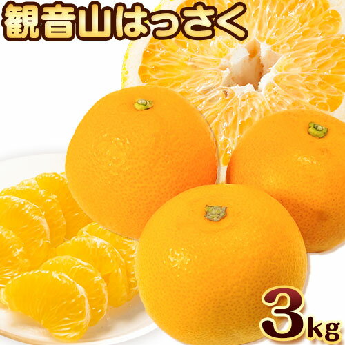 【ふるさと納税】観音山はっさく 3kg (約9玉-12玉前後) 有限会社柑香園《2026年1月上旬-3月中旬頃出荷》和歌山県 紀の川市 フルーツ 果物 柑橘 はっさく 八朔
